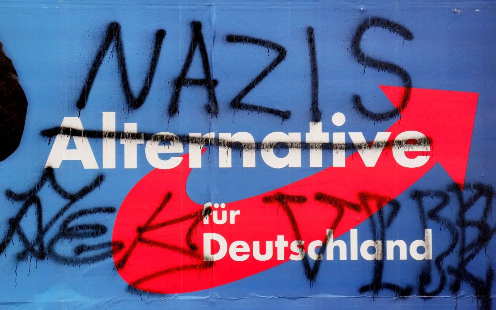 AfD Nazi Alternatives